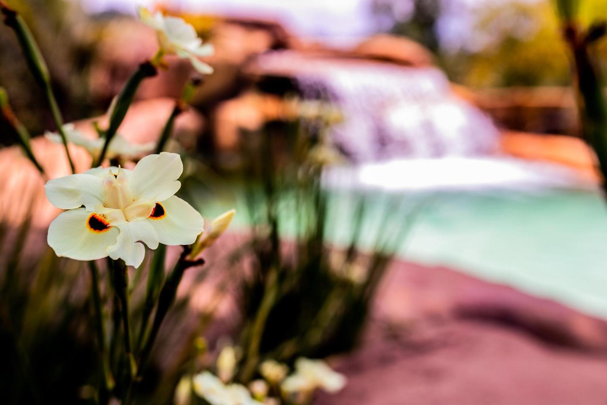 Hotel Fazenda Horizonte Belo Brumadinho Exteriör bild